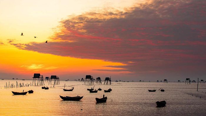 Ảnh đẹp Thái Bình tràn đầy sức sống tươi sáng.