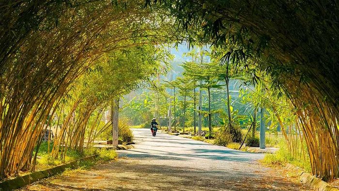 Ảnh đẹp Thái Bình mang vẻ nhẹ nhàng, tinh tế.