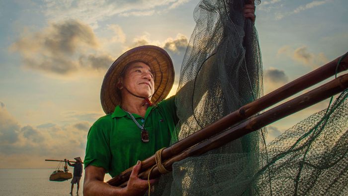 Ảnh đẹp Thái Bình tràn đầy sức sống và tươi tắn.