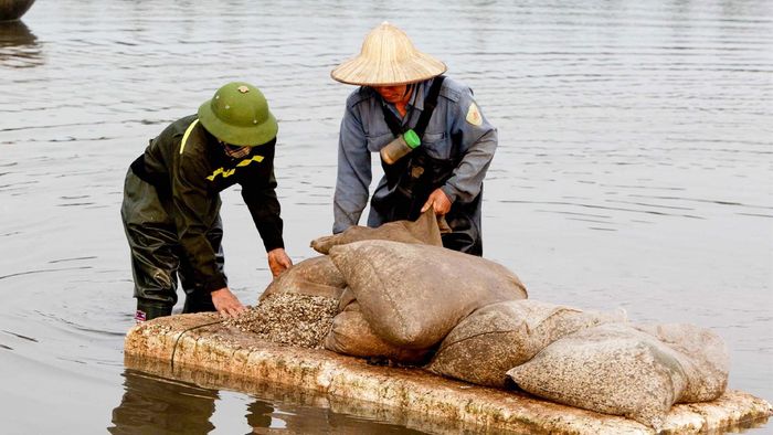 Ảnh đẹp Thái Bình rực rỡ sắc màu phong phú.