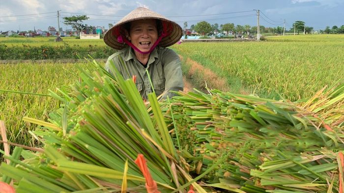 Ảnh đẹp Thái Bình tinh khiết và trong trẻo