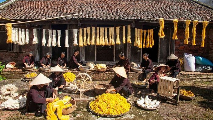 Ảnh đẹp Thái Bình thuần khiết.