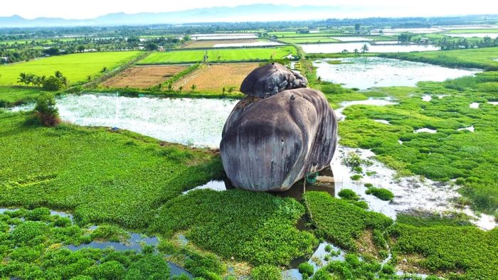 Những bức ảnh đẹp về rừng xanh bạt ngàn và trong lành của Đồng Nai