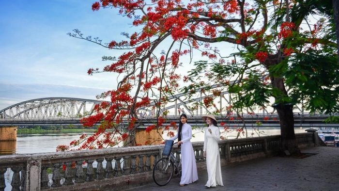 Ảnh đẹp Huế xanh ngát mênh mông.