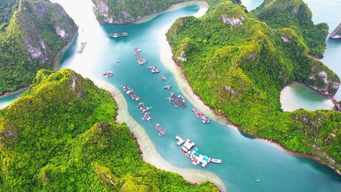 Ảnh Quảng Ninh mát mẻ, thanh khiết.