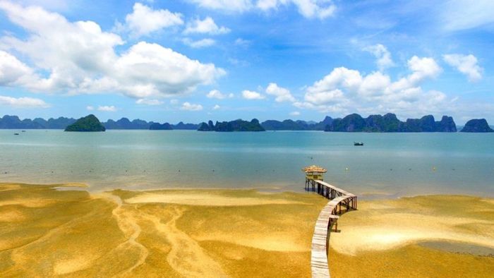 Ảnh Quảng Ninh mang đậm vẻ gần gũi, thân thiện.