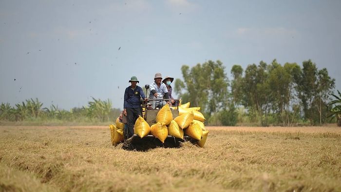 Hình ảnh Sóc Trăng thoáng đãng, rộng mở.