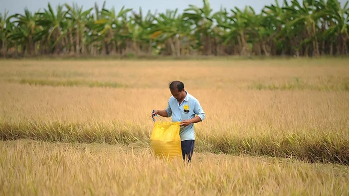 Hình ảnh Sóc Trăng tinh khôi, trong trẻo.