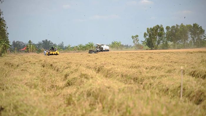 Hình ảnh Sóc Trăng cổ xưa, đậm chất lịch sử và văn hóa.