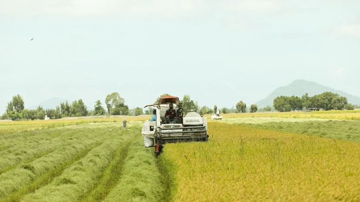 Hình ảnh Sóc Trăng duyên dáng, nhẹ nhàng.
