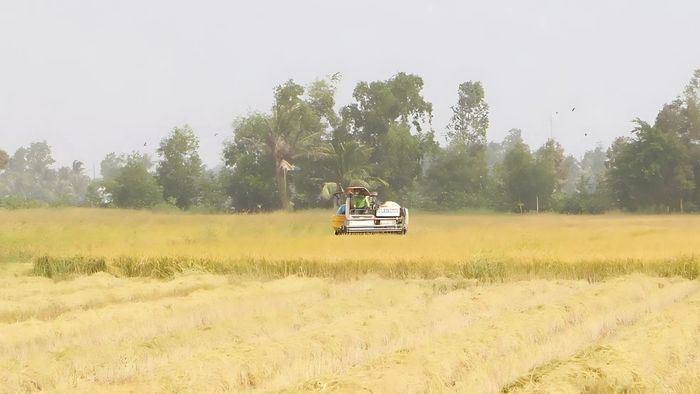 Hình ảnh Sóc Trăng rực rỡ, tươi sáng.