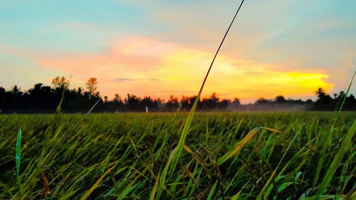 Ảnh đẹp Sóc Trăng mến khách, thân thiện.