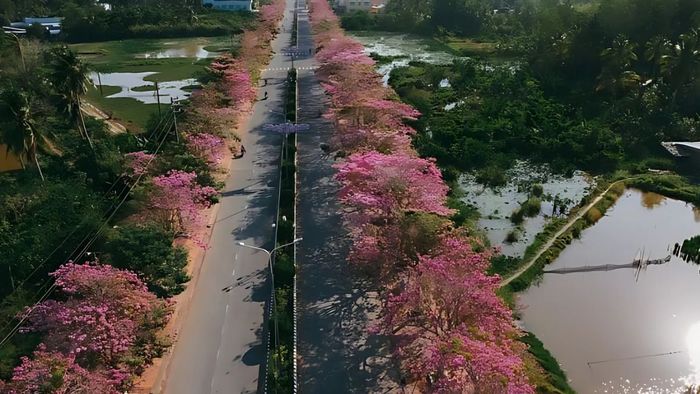 Hình ảnh Sóc Trăng đậm chất, đầy sắc nét.