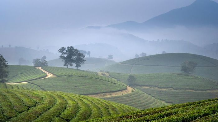 Ảnh đẹp Sơn La bình yên và thư thái.
