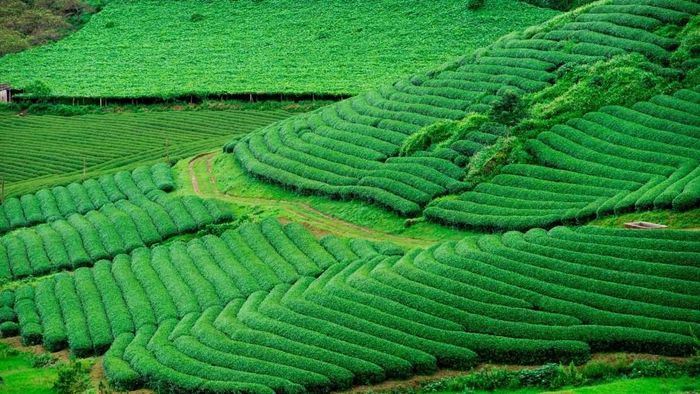 Ảnh đẹp Sơn La mang đậm bản sắc vùng cao.