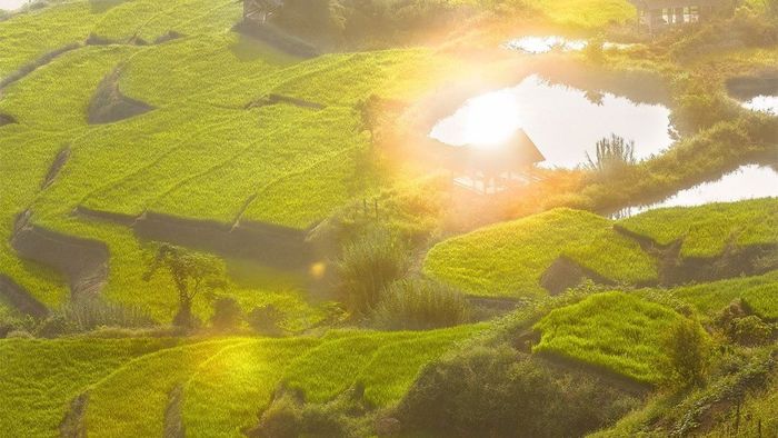Ảnh đẹp Sơn La tươi sáng và yên bình.