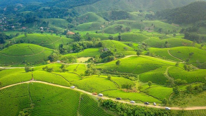 Ảnh đẹp Sơn La dịu dàng như vị ngọt của núi rừng.