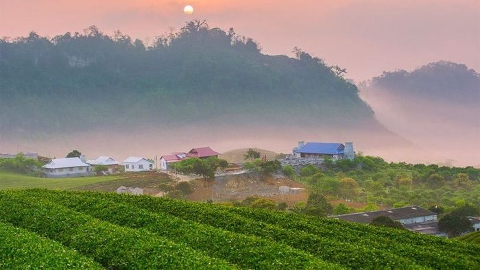 Ảnh đẹp Sơn La mang nét dịu êm.