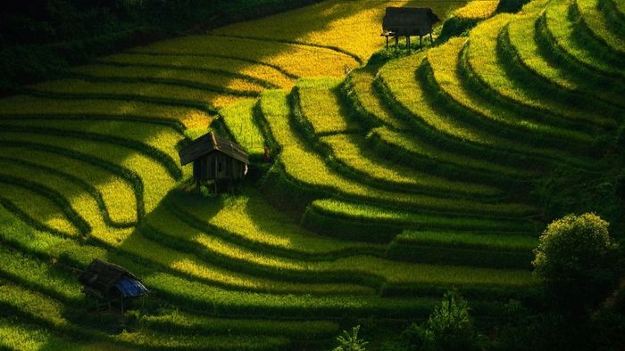 Ảnh đẹp Sơn La thân thương, gần gũi.