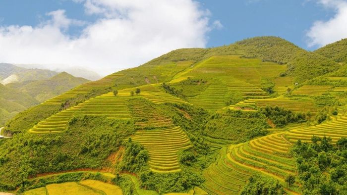 Ảnh đẹp Sơn La rực rỡ, tươi sáng.