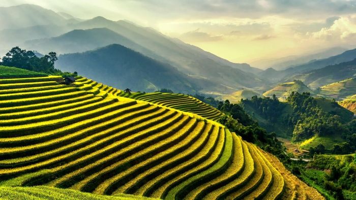 Ảnh đẹp Sơn La rạng rỡ và tươi mới.