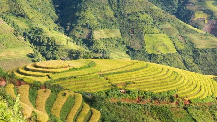 Ảnh đẹp Sơn La dịu dàng, chan chứa ánh sáng.