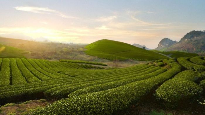 Ảnh đẹp Sơn La đầy nét hoang dã.