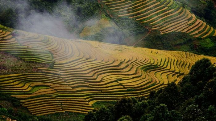 Ảnh đẹp Sơn La trầm mặc và sâu sắc.