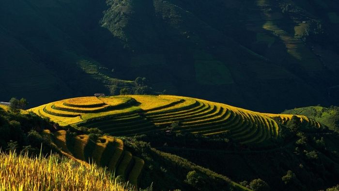 Ảnh đẹp Sơn La đầy hơi thở của gió núi.