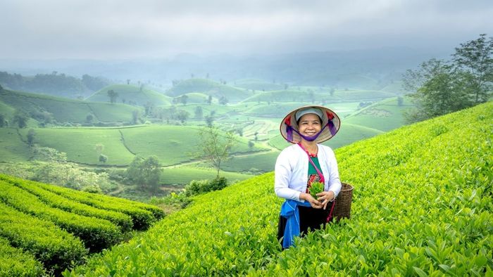 Ảnh đẹp Sơn La trọn vẹn từng khoảnh khắc.