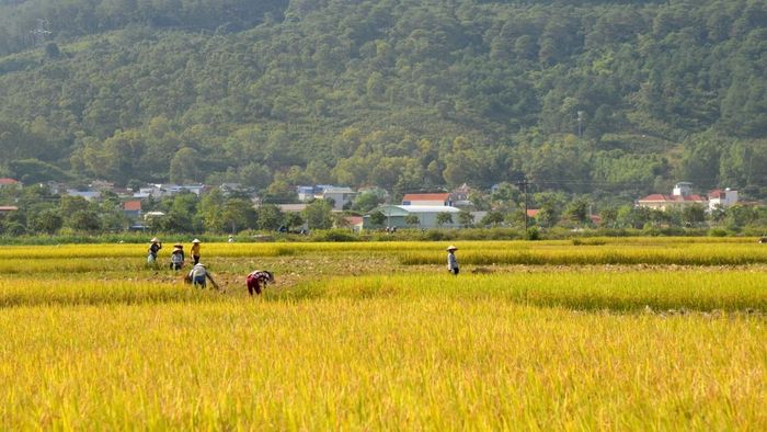 Ảnh đẹp Sơn La nhẹ nhàng, thanh thoát