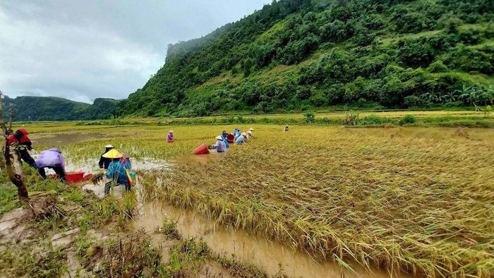 Ảnh đẹp Sơn La hiền hòa, êm đềm