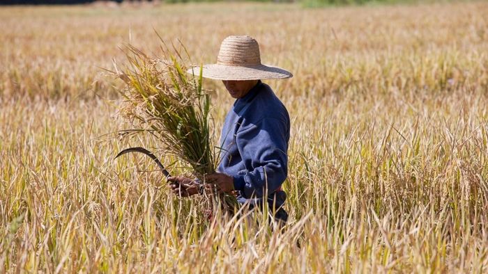 Ảnh đẹp Sơn La tuyệt vời nhất