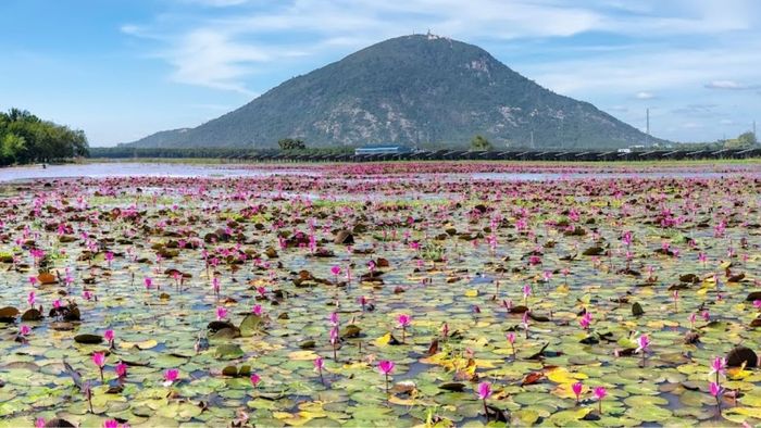 Ảnh đẹp về Tây Ninh mang đến một cảm giác đậm đà, sâu lắng.