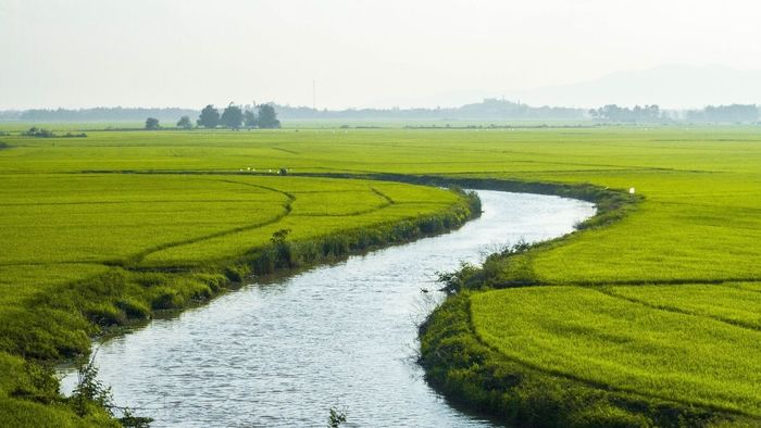 Tây Ninh hiện lên trong những bức ảnh đầy thân thiện, gần gũi.