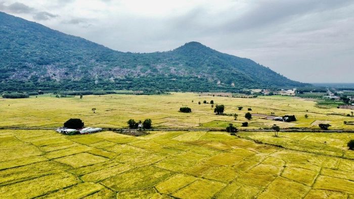 Ảnh đẹp Tây Ninh mở ra một không gian bát ngát, rộng lớn.