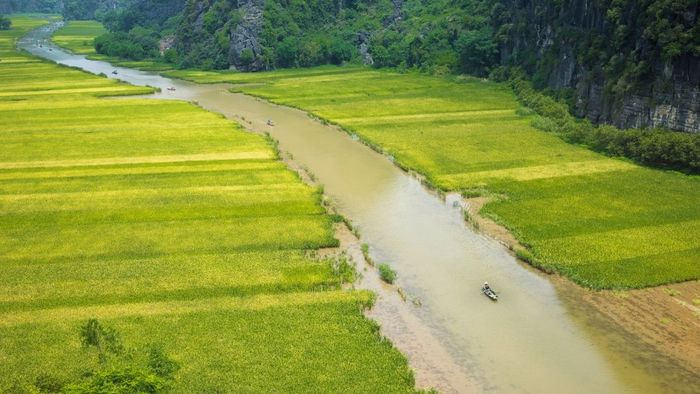 Ảnh đẹp Tây Ninh mang đến cảm giác mát lành, tươi mới.