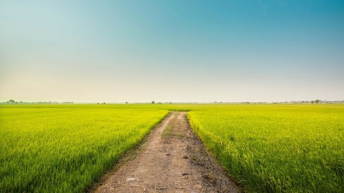 Tây Ninh hiện lên trong từng bức ảnh với vẻ đẹp hài hòa, thanh thoát.