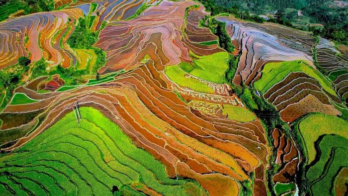 Thái Nguyên giản dị nhưng cũng không kém phần đẹp mắt qua những bức ảnh tuyệt vời.