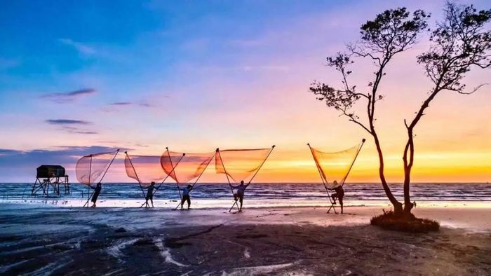 Tiền Giang qua những bức ảnh đậm đà, đầy màu sắc và sức sống.