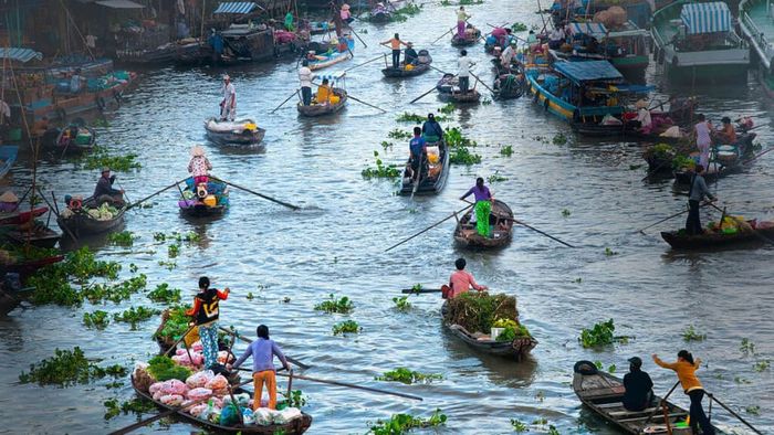 Tiền Giang hiện lên gần gũi, với những hình ảnh thân quen từ cảnh vật đến con người, tạo nên một sự kết nối sâu sắc.