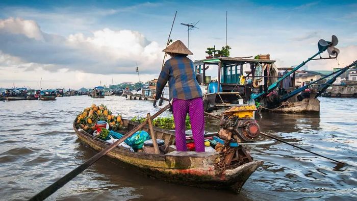 Những hình ảnh Tiền Giang thanh khiết mang đến sự yên bình và tĩnh lặng, là hình ảnh của một vùng đất nguyên sơ và đầy vẻ đẹp tự nhiên.
