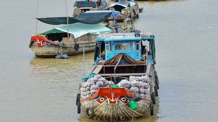 Tiền Giang sống động với những bức ảnh đầy màu sắc, thể hiện sự nhộn nhịp và sự gắn kết giữa con người và thiên nhiên trong cuộc sống hằng ngày.