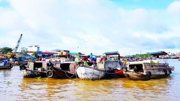 Tiền Giang mang đến một không gian xanh mát, tràn đầy sức sống.