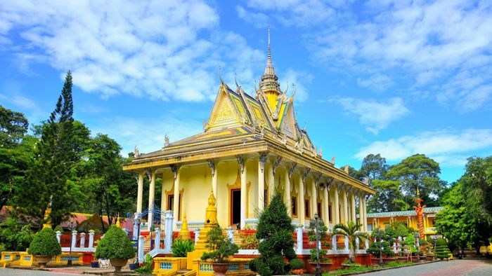 Trà Vinh xanh mướt với những cánh đồng và rừng cây tươi tốt, tạo nên một không gian thiên nhiên tươi mới, mát mẻ.