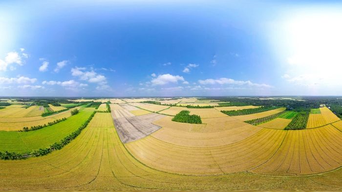 Trà Vinh trong những bức ảnh yên tĩnh, vắng lặng, mang đến cảm giác thư thái và bình yên.