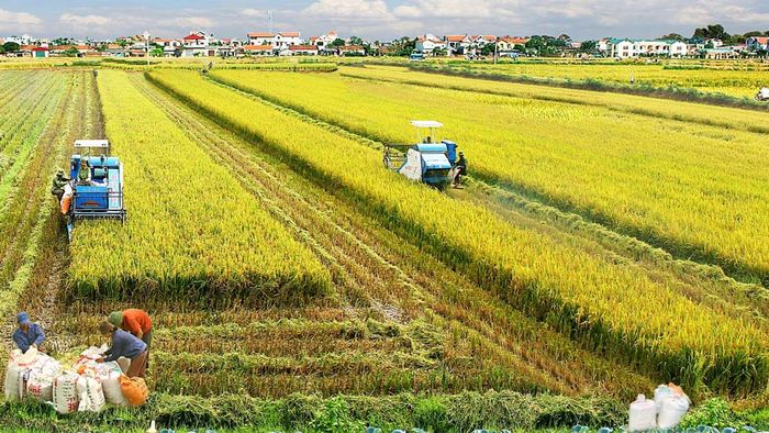 Trà Vinh hiện lên qua những bức ảnh ngọt ngào, mang đến cảm giác ấm áp và thân thiện.