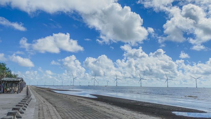 Trà Vinh hiện lên trong những bức ảnh lặng lẽ, nhẹ nhàng như một bức tranh yên bình, mộc mạc.