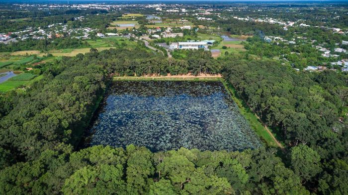 Trà Vinh hiện lên qua những bức ảnh trong lành, mang đậm hơi thở của thiên nhiên tươi đẹp.