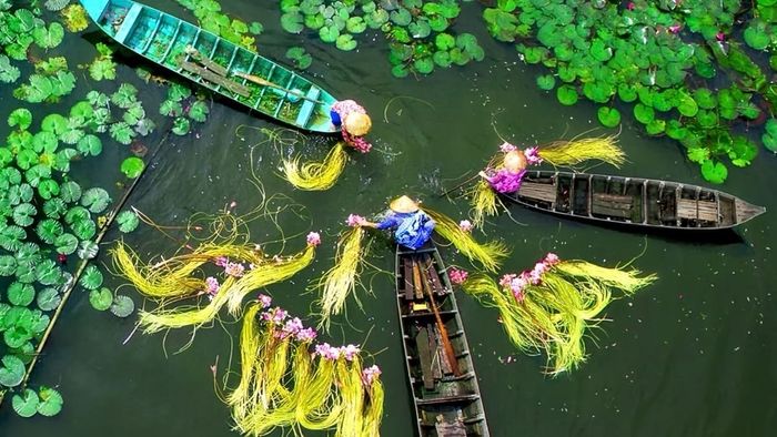 Ảnh đẹp Cần Thơ - nhịp sống lao động mộc mạc và bình dị